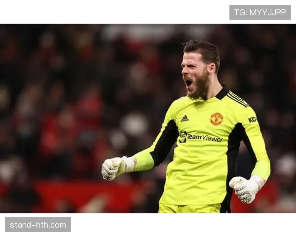 英超门将榜：赛季最佳之争白热化，稳健发挥力压群雄